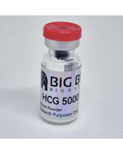 HCG (Lyophilized Powder) - 5000IU